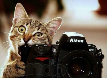 Игорь Гиренко