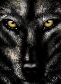 Иван Гомонюк