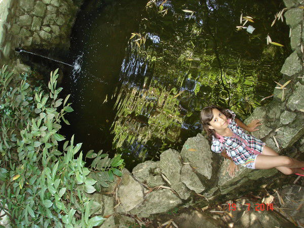 Александра Арыкова