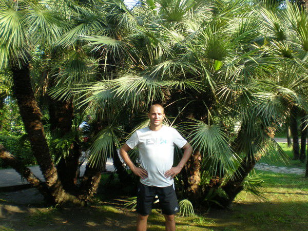 Илья Васильев