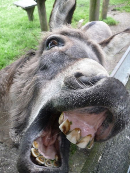 Игорь Кинас