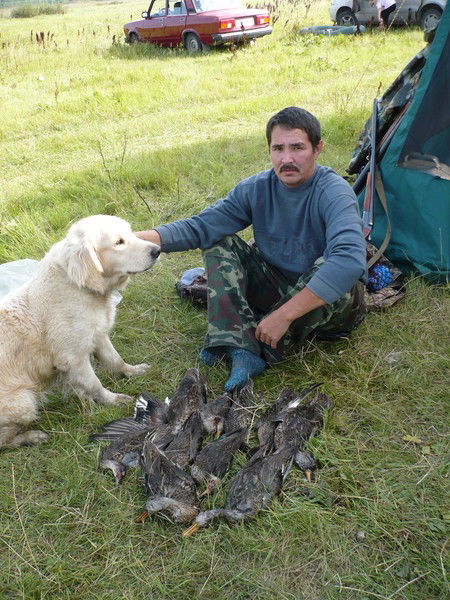 Николай Майков