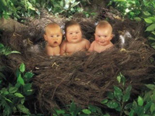 Елена Аминова