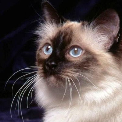 Екатерина Бубен