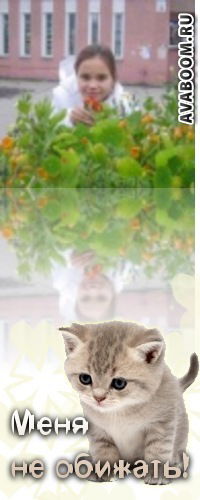 Света Фёдорова