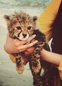 Маша Левчанова