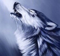 {Смерть И Страх}