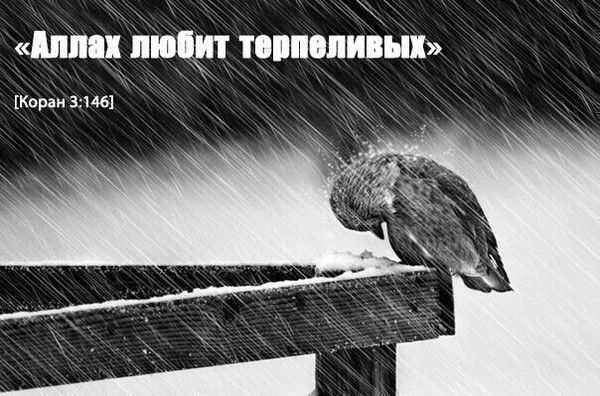 Ермек Айналиев