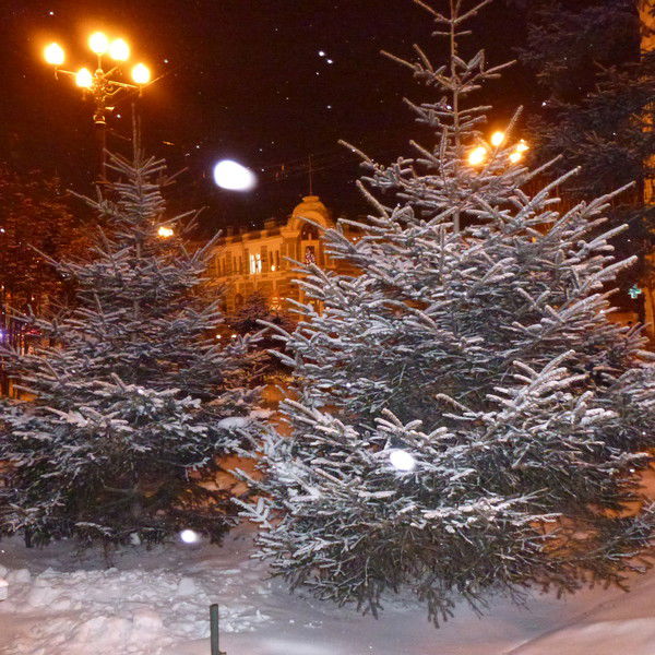 Наталья Новосельцева