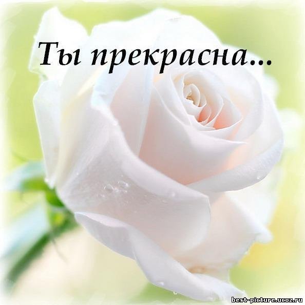 Элен Войнова