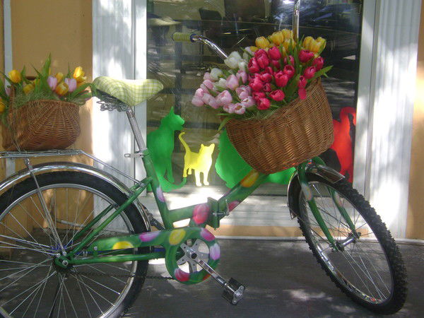 Люба Леспух (Попович)