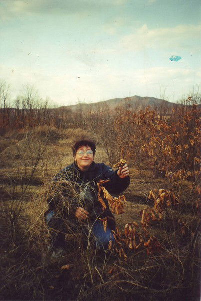 Елена Дишура