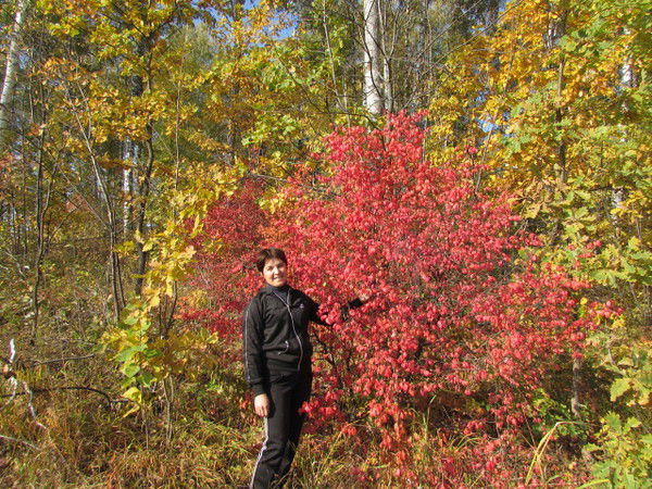 Айсылу Хисамова