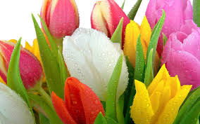 Татьяна Бигашова