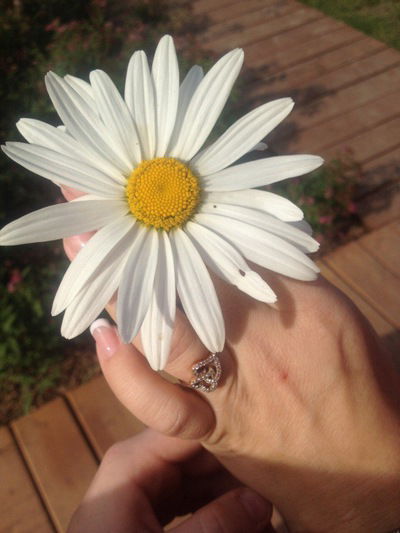 Лена Веснина