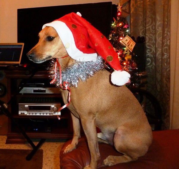 Марина Сажко