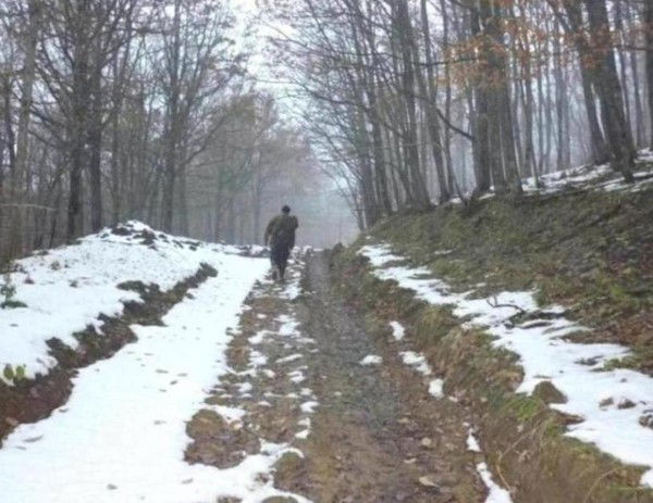 Алексей Папков