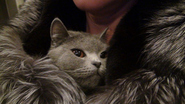 Татьяна Левашова