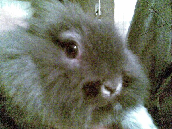 Василий Васильев