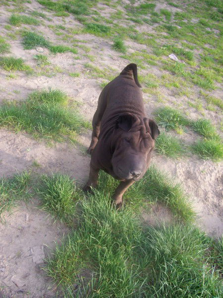 Алена Егорова