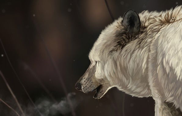 Евгений Юраков