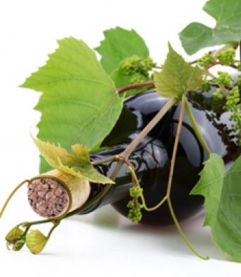 Тоо Акжайык Сусын