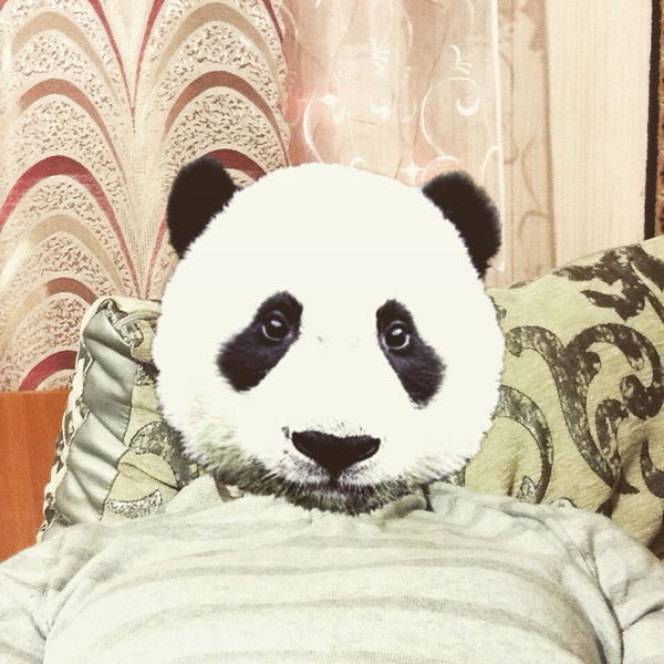 Антон Колесников