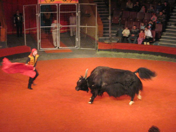 Светлана Апрксимрва