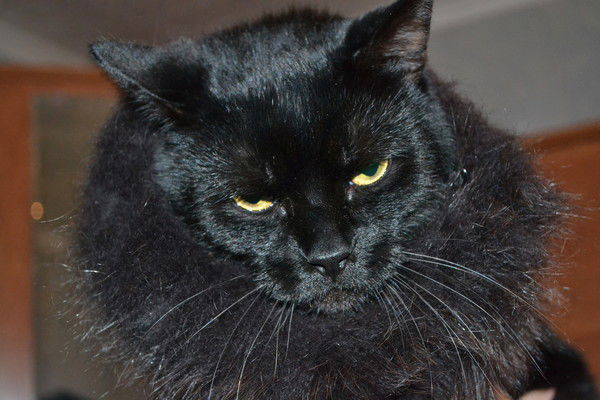 Сергей Ббббб