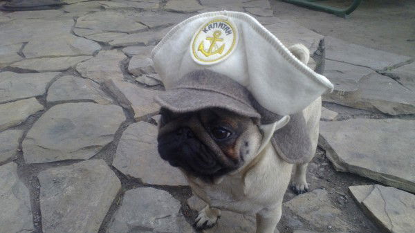 Виталя Утробин