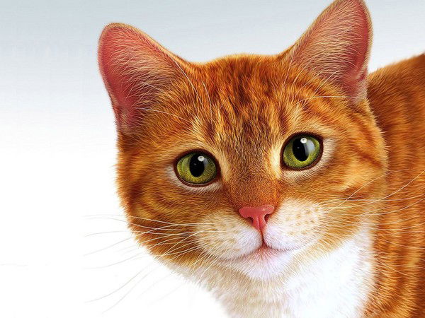 Леша+ Ксюша