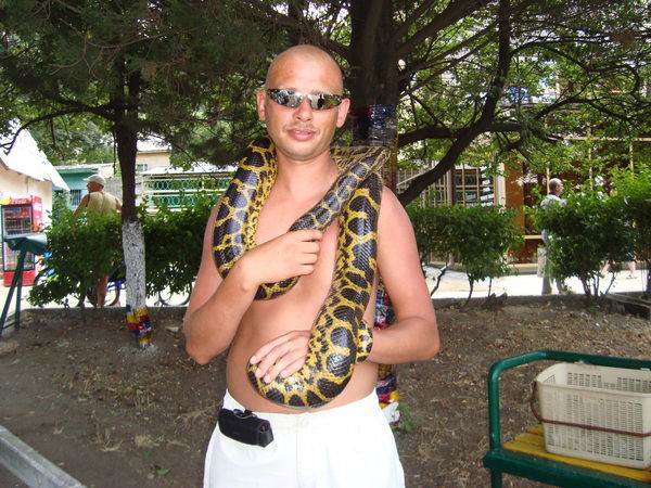 Серега Гармидер