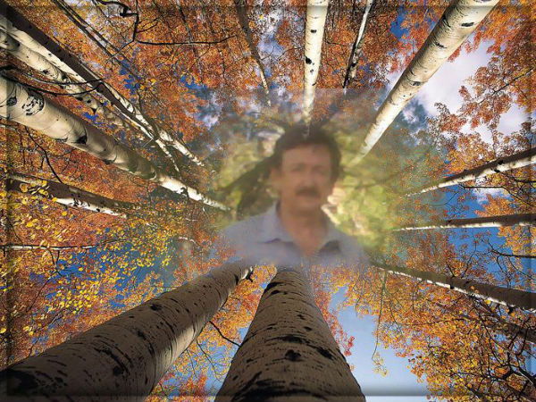 Александр Никитченко