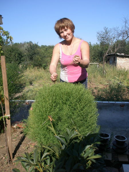 Нина Боголюбова