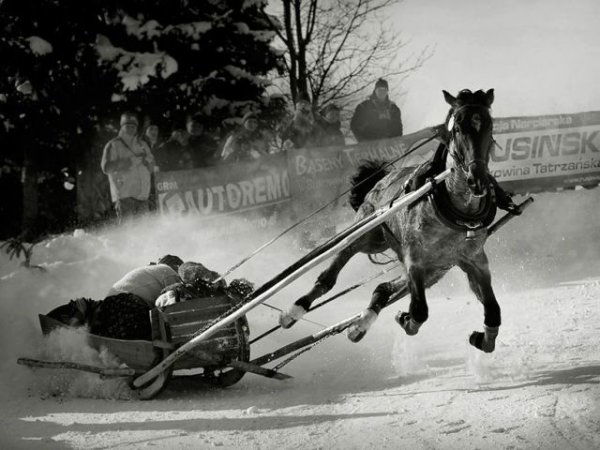 Сергей Черныш