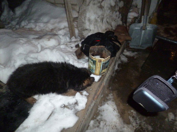 Алексей Хоперсков