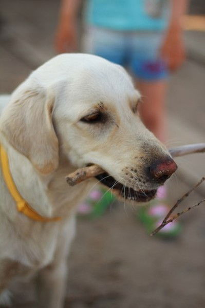 Галина Золотарева