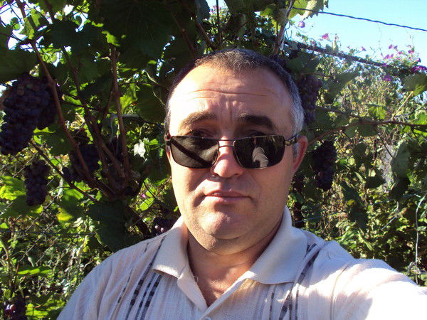 Николай Богданов