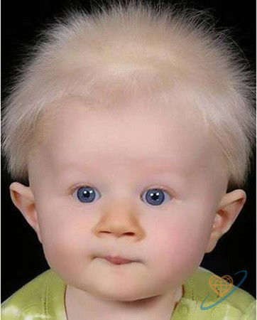 Арсен Мурадисов