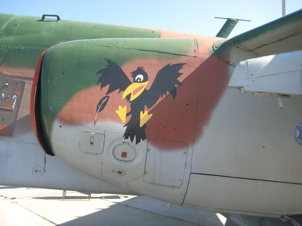 Ольга Фролова