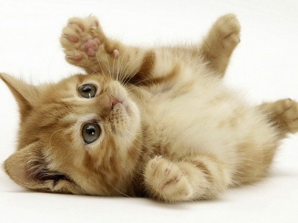 Анастасия ...