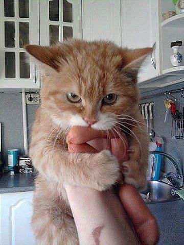 Камиль Баширов