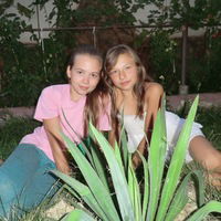 Светик Светик