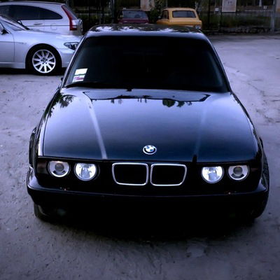 Коля Барсук