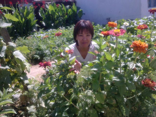 Зинеш Сарина