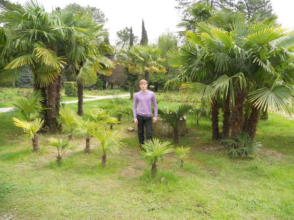 Денис Грищенко