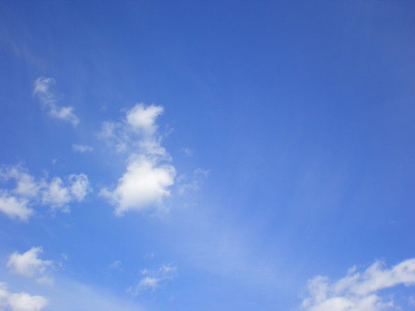 Евгений Стальнов