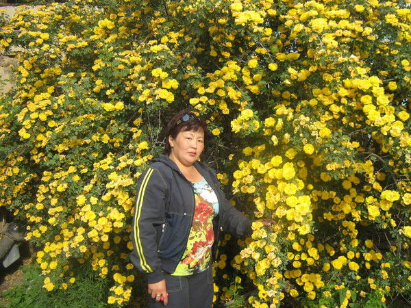 Бейбит *******