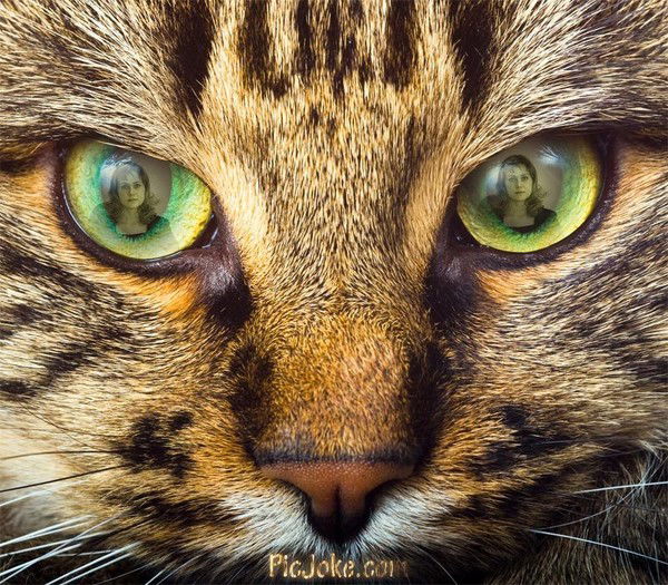 Светлана *****