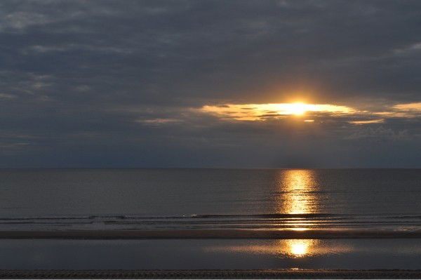 Александр Лосев